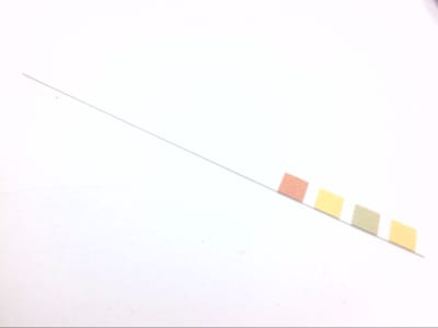 WHATMAN 2613991/EACH