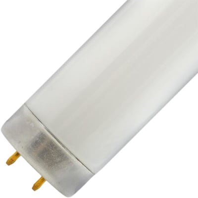 PHILIPS F40CW/RS/EW/ALTO