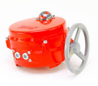 BRAY 70-0200-113DC-536K