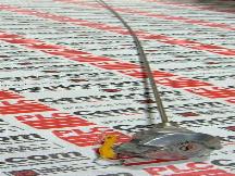 PYROMATION INC K48U073008HN31SB