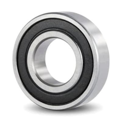 SCHAEFFLER GROUP 6007-RSR