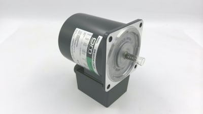 ORIENTAL MOTOR 5IK40GN-CW2TE
