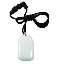 NICE NORTH AMERICA 2GIG-F1-345