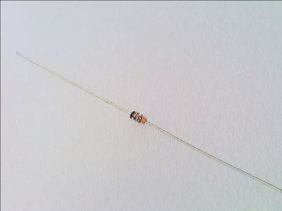 NXP SEMICONDUCTOR 1N4148.113