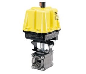 FLOWSERVE 10DFP17-13