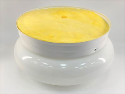 INTERNATIONAL LIGHT 5572-30