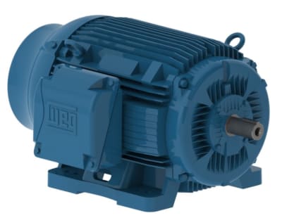 WEG 06036ET3E364TS-W22G