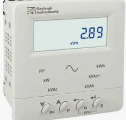 RAYLEIGH INSTRUMENTS 30002000