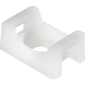 PANDUIT TM1S6-C