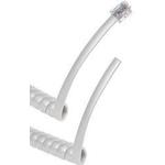 ASSMANN AT-C-26-4/4/W-10-OE
