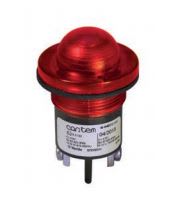 CORTEM GROUP M-0457/3R24