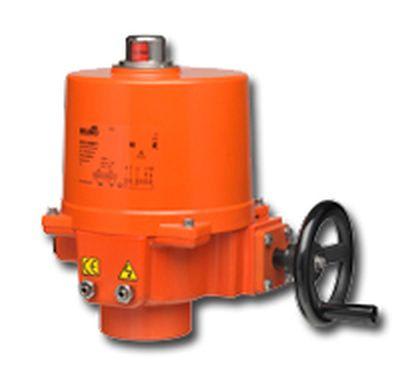 BELIMO SY1-24P-T