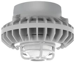 RAB LIGHTING HAZPLED42F-G