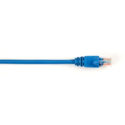 BLACK BOX CORP CAT5EPC-001-BL