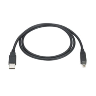 BLACK BOX CORP USB05-0015
