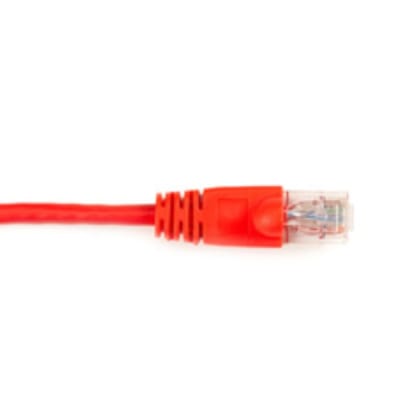 BLACK BOX CORP CAT6PC-015-RD