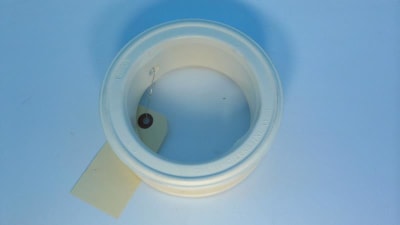 BRAY 200400-92801559