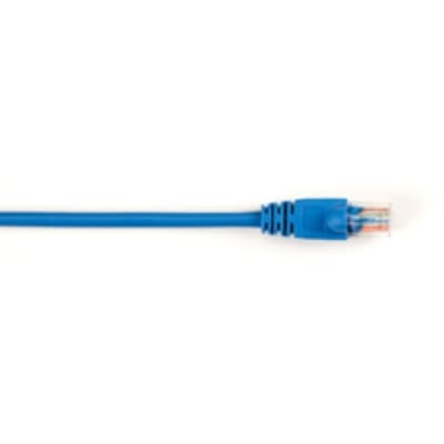 BLACK BOX CORP CAT5EPC-025-BL-25PAK