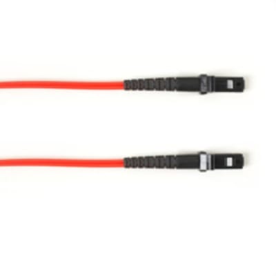 BLACK BOX CORP FOCMP62-001M-MTMT-RD