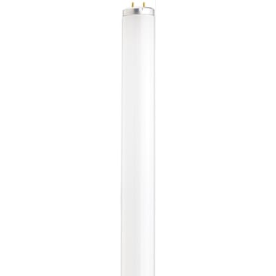 SATCO S6565