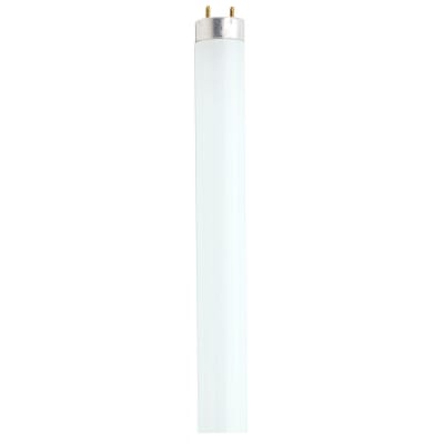 SATCO S6888