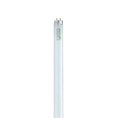 SATCO S8446
