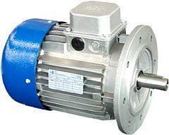 MOTORI ELETTRICI TN80B/4-14