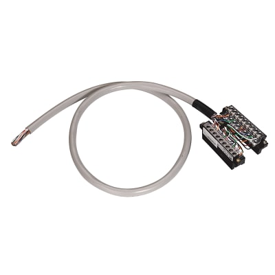 ALLEN BRADLEY 1492-CAB010RTN32I