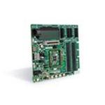 MICROCHIP TECHNOLOGY INC DM240001-2