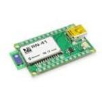 MICROCHIP TECHNOLOGY INC RN-41-EK