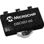 MICROCHIP TECHNOLOGY INC DN2450N8-G