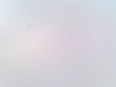 ANDERSON-NEGELE SL5089122201206/PULSE