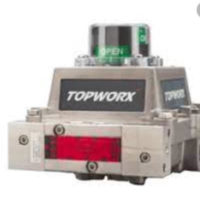 TOPWORX DXS-L21GNEB