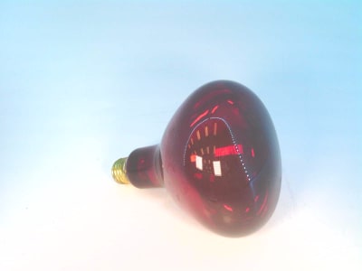 FEIT ELECTRIC 250R40/10-130