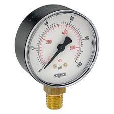 NOSHOK 25-100-2000PSI-1/4NPT-LL