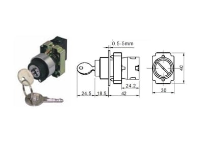 RADWELL VERIFIED SUBSTITUTE P9RSCZ3C95-SUB (MAINTAINED)