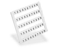 AUTOMATION DIRECT KN-L5-1-10-250