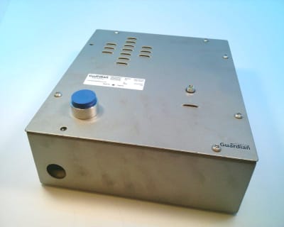 GUARDIAN TELECOM INC HDE-12A