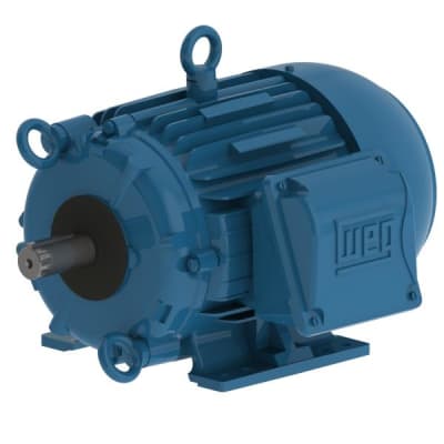 WEG 00312ET3ECT213T-W22