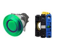 OMRON A22NL-RMA-TGA-G100-GC