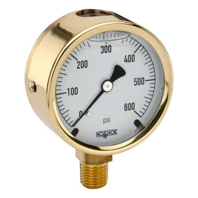 NOSHOK 25-300-400-PSI