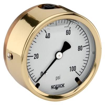 NOSHOK 25-310-5000-PSI-BT8-CC
