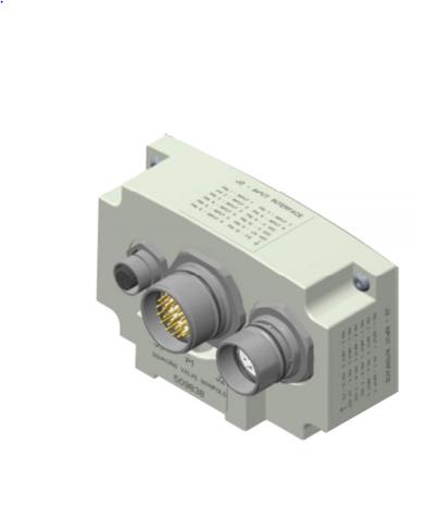 ASCO P599AE509838001