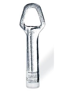 RAMSEY TECHNOLOGY INC 508506