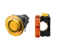 OMRON A22NN-BMM-UYA-G002-NN