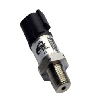 GEMS SENSORS 3100H300PG028000