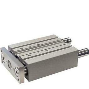 SMC MGPL50-100