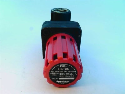 ARMSTRONG GD-30-1-NPT