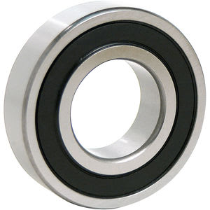 SKF 6005-2RS1C3