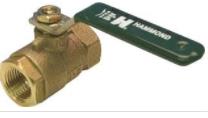 HAMMOND VALVE UP8901